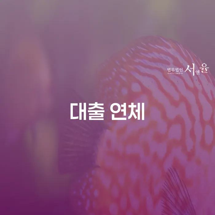 회생제도 개인회생,개인파산으로 직접상담