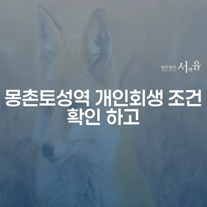 몽촌토성역 개인회생 조건확인 하고