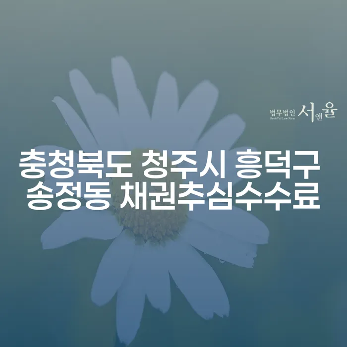 채무로부터 자유로워지는 법: 충청북도 청주시 흥덕구 송정동 채권추심수수료와 코인빚탕감 방법