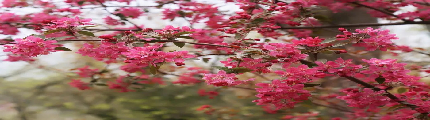 법무법인 서앤율