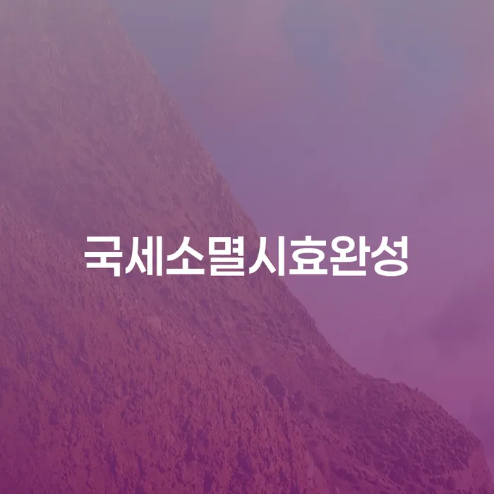 국세소멸시효완성, 개인회생과 파산을 고려해야 할 때?